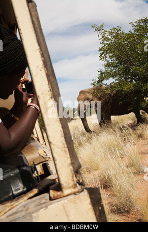 Tourist fotografare desert elephant Loxodonta africana regione Kunene Namibia Foto Stock