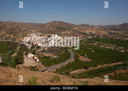 Campi di ulivi. Alora. Malaga. Valle del Sol. Andalusia. Spagna. Europa Foto Stock