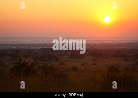 Alba sul Pilanesberg Game Reserve, Provincia di nord-ovest, Sud Africa Foto Stock