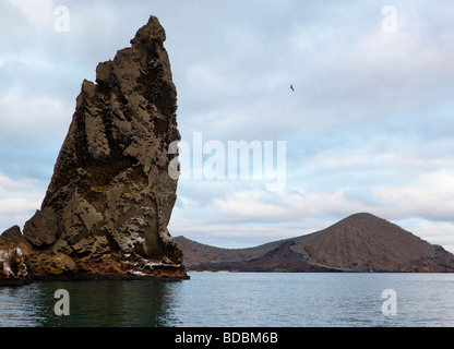 Un frigatebird cerchi intorno a pinnacolo di roccia. Foto Stock