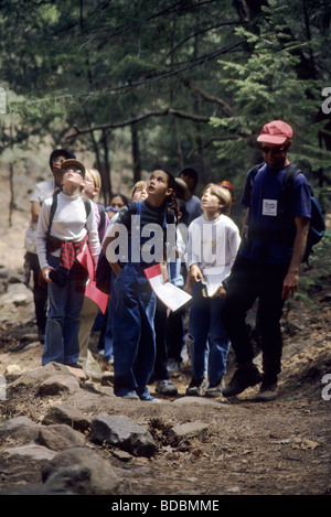 5 livellatrici ecosistemi studio durante l'escursione guidata nel Sandia Mts. Registrare le osservazioni e i dati per i rapporti scritti. Foto Stock