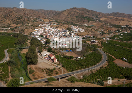 Campi di ulivi. Alora. Malaga. Costa del Sol. Andalusia. Spagna. Europa Foto Stock