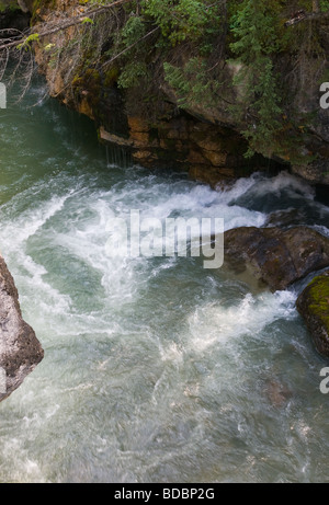 Acqua correre attraverso Canyon Maligne gorge. Foto Stock