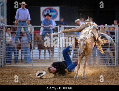 Stati Uniti Tennessee Putnam County Fair di Cookeville Foto Stock