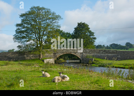 Infant Fiume Aire e Ponte Newfield, vicino Airton, Yorkshire Dales National Park, North Yorkshire, Inghilterra, Regno Unito Foto Stock