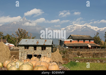 Il nepalese tradizionali di montagna case popolari in Nepal centrale Foto Stock