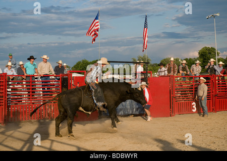 Bull riding in Franklin County Fair, Hilliard, Ohio Foto Stock