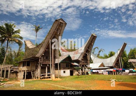 Indonesia Sulawesi Tana Toraja Bebo costruito recentemente tongkonan granaio di riso in composto di famiglia Foto Stock