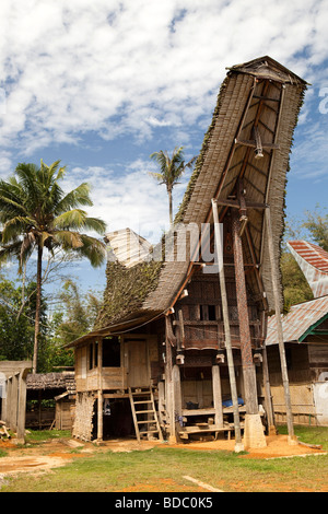 Indonesia Sulawesi Tana Toraja Bebo costruito recentemente tongkonan granaio di riso in composto di famiglia Foto Stock