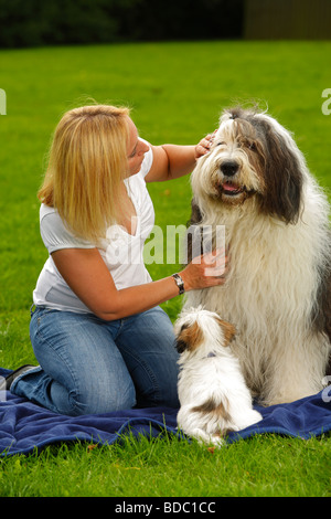 Donna con Bobtail e di razza mista cucciolo di cane Old English Sheepdog stroking accarezzando Foto Stock