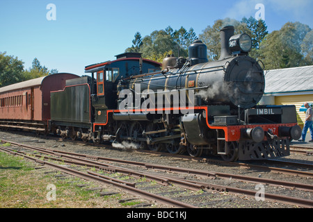 Una classe 17 locomotiva a vapore costruito nel 1950 e utilizzato per trainare la valle Rattler Foto Stock