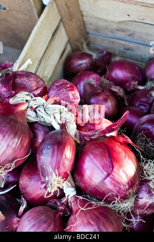 Cipolla rossa di Tropea in un vassoio di legno caratteristic IGP prodotti alimentari di Calabria Sud Italia Foto Stock