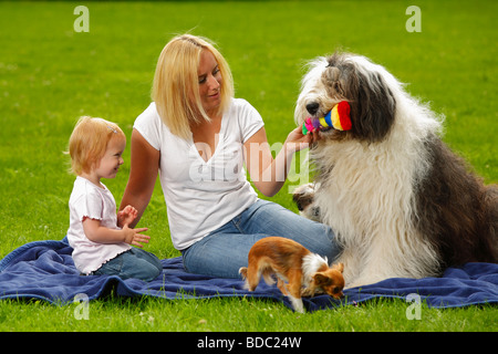 Donna con la figlia e Bobtail Chihuahua Old English Sheepdog Foto Stock