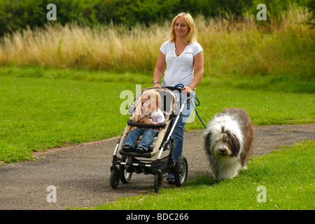 Donna con figlia Chihuahua e Bobtail Old English Sheepdog buggy pram passeggino al guinzaglio passeggiando Foto Stock