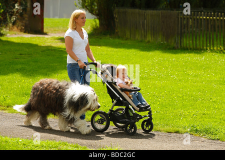 Donna con figlia Chihuahua e Bobtail Old English Sheepdog buggy pram passeggino al guinzaglio passeggiando Foto Stock