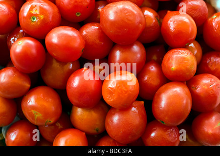 Pomodori Pachino piccolo rosso ciliegia pomodori dal sud Italia Foto Stock