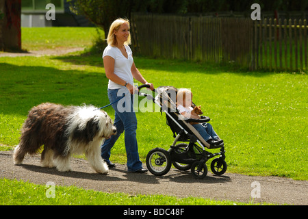 Donna con figlia Chihuahua e Bobtail Old English Sheepdog buggy pram passeggino al guinzaglio passeggiando Foto Stock