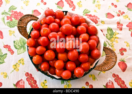 Pomodori Pachino in un cestino piccolo rosso ciliegia pomodori dal sud Italia Foto Stock