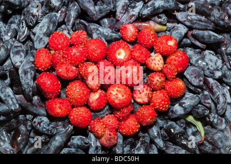 Il cuore da bacche selvatiche di fragola contro un caprifoglio Foto Stock