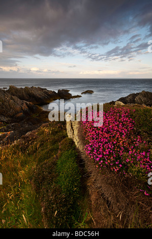 #2807 D4E0394 Langness Costa Isola di Man Foto Stock