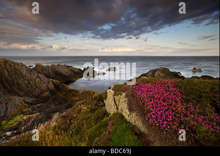 Costa Langness Isola di Man Foto Stock