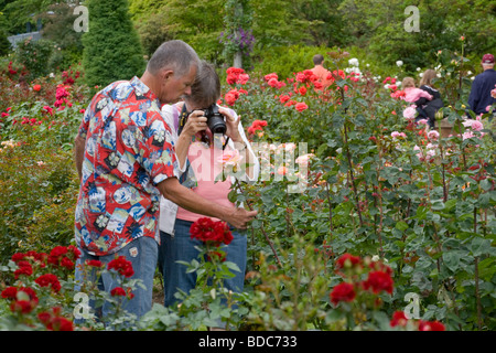 International Rose Test Garden in Portland Oregon la Città delle Rose Foto Stock