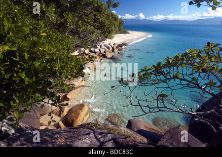 Nudey Beach, Fitzroy Island National Park ,Queensland, Australia Foto Stock