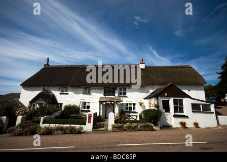 Cottage con il tetto di paglia a St Giles sulla brughiera in Devon occidentale sotto il cielo di estate blu. Foto Stock