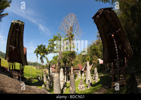 Indonesia Sulawesi Tana Toraja Kalimbuang pietra villaggio megaliti tra case tongkonan obiettivo fisheye view Foto Stock