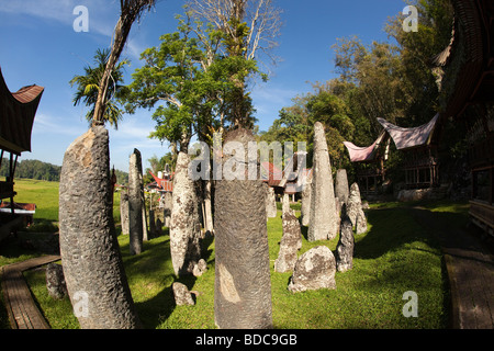 Indonesia Sulawesi, Tana Toraja, Kalimbuang village, pietra megaliti tra case tongkonan obiettivo fisheye view Foto Stock