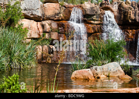 Una cascata a Beaverlac nelle montagne Cederberg nella provincia del Capo occidentale del Sud Africa Foto Stock