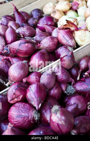 Cipolla rossa di Tropea in un vassoio di legno caratteristic IGP prodotti alimentari di Calabria Sud Italia Foto Stock