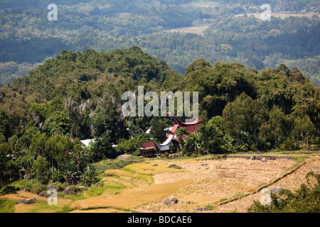 Indonesia Sulawesi Tana Toraja Lempo tongkonan tradizionali case a schiera attraverso le risaie Foto Stock