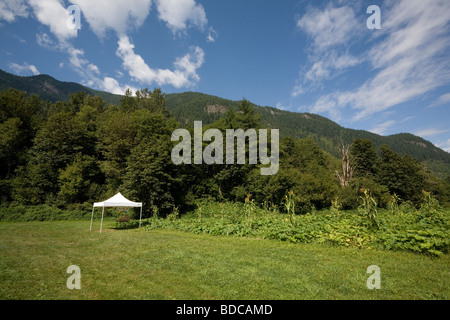 U scegliere Stand a Cascadian fattoria biologica di North Cascades autostrada nello Stato di Washington Foto Stock