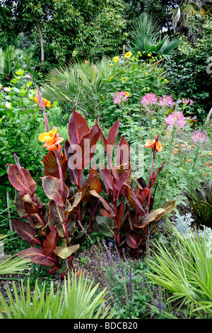 Abbotsbury giardini subtropicali, vicino a Weymouth Dorset, Regno Unito. Giardini Paesaggistici. Foto Stock