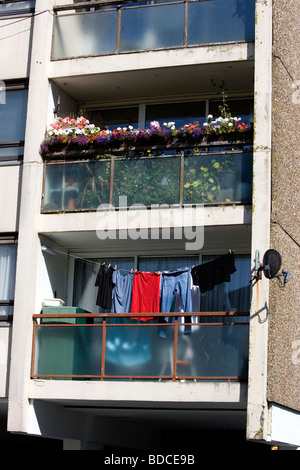 Chiudere la sezione di un alloggiamento del consiglio a torre con fiori, TV via satellite e una linea di lavaggio sul display in Whitehawk, Brighton Foto Stock