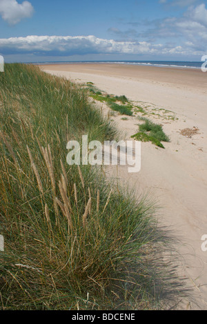 La spiaggia di palude Titchwell RSPB Riserva, il lavaggio, Norfolk, cercando lungo la sabbia al punto Thornham Foto Stock