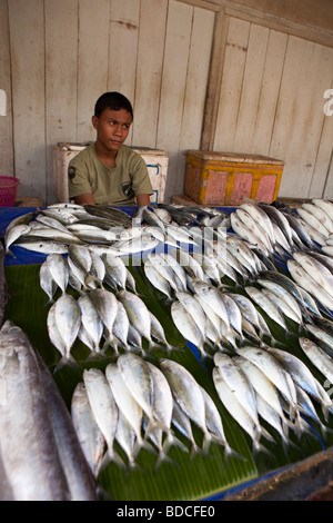 Indonesia Sulawesi Tana Toraja Rantepao mercato giornaliero di pesce fresco con stallo miserabile stallholder Foto Stock