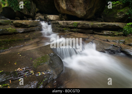 Esecuzione del flusso su roccia in una foresta di monaci cruscotto, il Drakensberg, Kwazulu-Natal, Sud Africa. Lunga esposizione di immagine a colori. Foto Stock