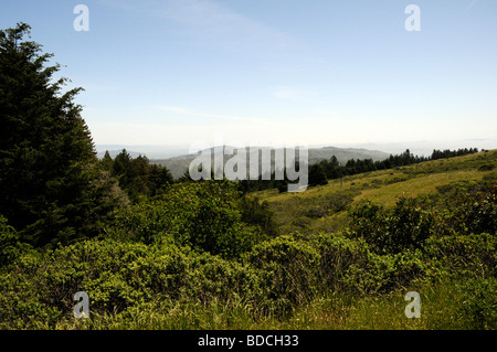 Il Marin Headlands di Marin County, California frequentata da escursionisti, corridori e ciclisti cavalieri vicino a San Francisco, CA Foto Stock