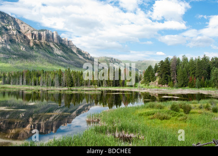 Riflessioni in un lago lungo Chief Joseph Scenic Byway nel Wyoming Foto Stock