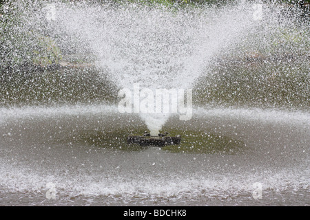 Fontana del giardino botanico di Wroclaw Polonia Foto Stock