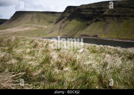 Vista Est di Llyn y Fach della ventola e la zona nord della scarpata di Picws Du e ventola Foel Brecon Beacons Galles Foto Stock