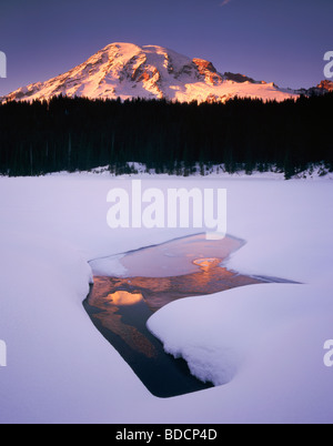 Mount Rainier 14411ft 4392m dalla riflessione congelati Lago Il Parco Nazionale del Monte Rainier Washington STATI UNITI D'AMERICA Foto Stock