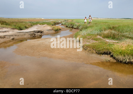 Il slufter nationalpark sul proiettore Texel marea flusso riflusso Paesi Bassi Hollands Mare Borra Waddenzee ovini Foto Stock