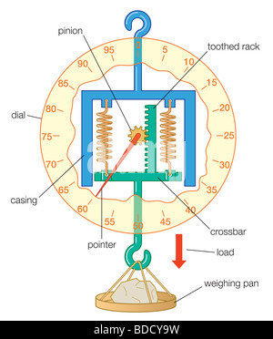 Bilancia a molla Foto Stock