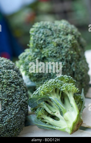 Close up del calabrese/cime di broccoli con profondità di campo Foto Stock