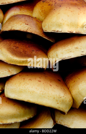 Golden scalycap funghi (Pholiota aurivella) abstract close up England Regno Unito Foto Stock