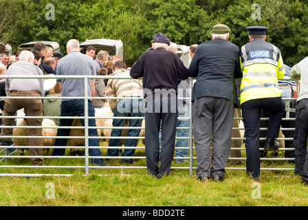 Ardara County Donegal Irlanda gli agricoltori e un poliziotto guardando le pecore a giudicare a sud-ovest del Donegal spettacolo agricolo Foto Stock