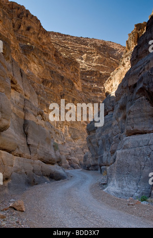 Auto spremitura attraverso il si restringe di Tito Canyon in Grapevine montagne, Parco Nazionale della Valle della Morte, CALIFORNIA, STATI UNITI D'AMERICA Foto Stock